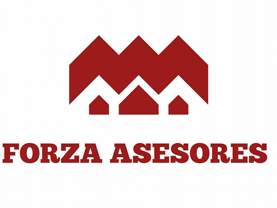 FORZA ASESORES
